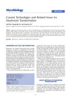 Current Technologies and Related Issues for Mushroom