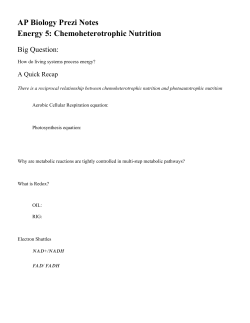 AP Biology Prezi Notes Energy 5: Chemoheterotrophic Nutrition