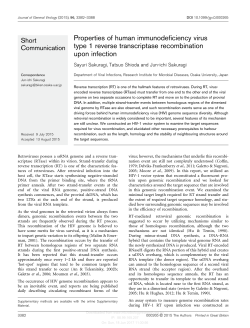 Properties of human immunodeficiency virus type 1 reverse