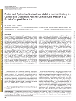 Purine and Pyrimidine Nucleotides Inhibit a Noninactivating K