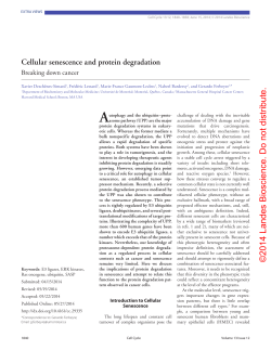 Cellular senescence and protein degradation