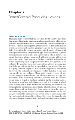 Bone/Osteoid Producing Lesions