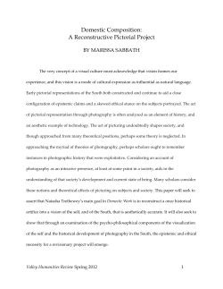 Domestic Composition: A Reconstructive Pictorial Project