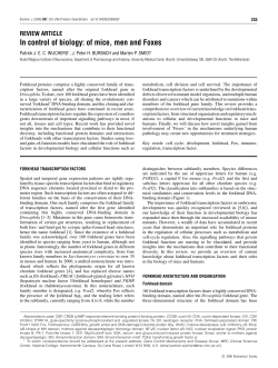In control of biology: of mice, men and Foxes