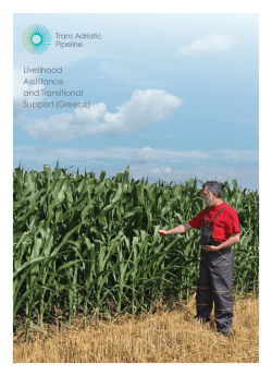 Livelihood Assistance and Transitional Support (Greece)