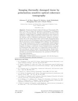 Imaging thermally damaged tissue by polarization sensitive optical