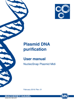 NucleoSnap Plasmid Midi