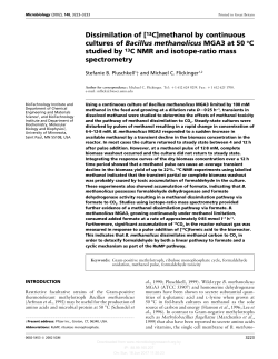 Dissimilation of [13C]methanol by continuous cultures