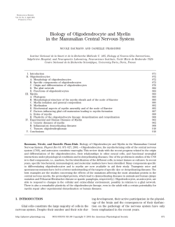 Biology of Oligodendrocyte and Myelin in the Mammalian Central