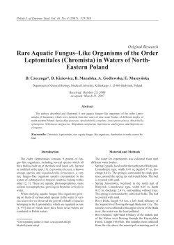 Rare Aquatic Fungus&ndash;Like Organisms of the Order Leptomitales