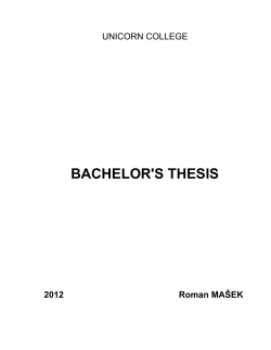 bachelor`s thesis
