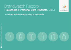 Brandwatch Report/