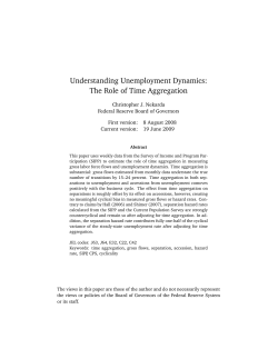 Understanding Unemployment Dynamics: The Role