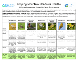 NRCS Keeping Mountain Meadows Healthy