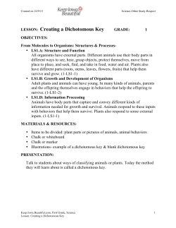 LESSON: Creating a Dichotomous Key