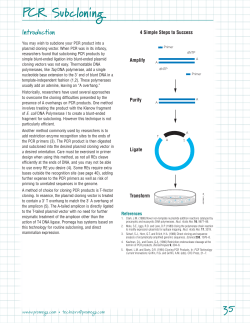 PCR Subcloning