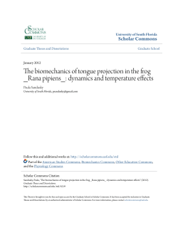 The biomechanics of tongue projection in the frog _Rana pipiens_