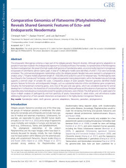 Comparative Genomics of Flatworms (Platyhelminthes) Reveals