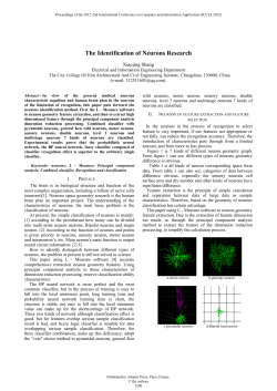 The Identification of Neurons Research