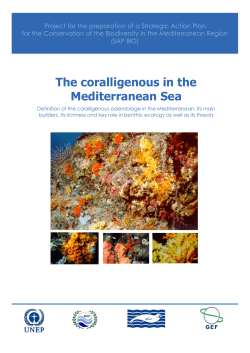 The coralligenous in the Mediterranean Sea - SAP-BIO
