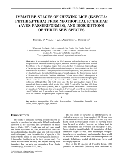 IMMATURE STAGES OF CHEWING LICE (INSECTA