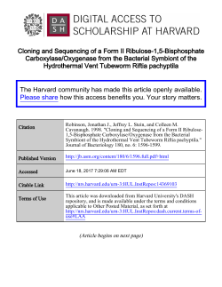 Cloning and Sequencing of a Form II Ribulose-1,5