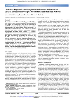 Caveolin-1 Regulates the Antagonistic Pleiotropic Properties of