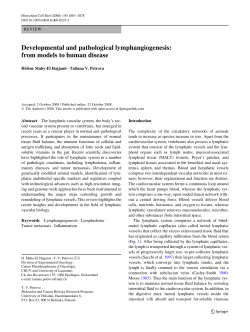 Developmental and pathological lymphangiogenesis: from models