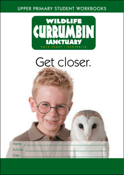 Get closer. - Currumbin Wildlife Sanctuary