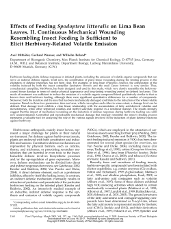 Effects of Feeding Spodoptera littoralis on Lima