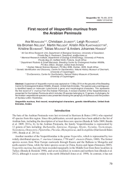 First record of Vespertilio murinus from the Arabian Peninsula