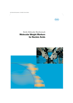 DNA Molecular Weight Markers