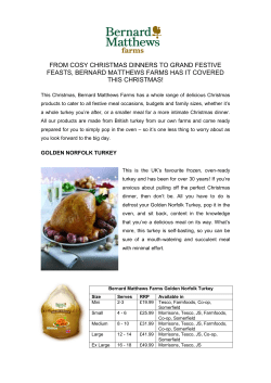 FROM COSY CHRISTMAS DINNERS TO GRAND FESTIVE FEASTS