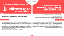 puberty in heifers and premature luteolysis in the first estrous cycle
