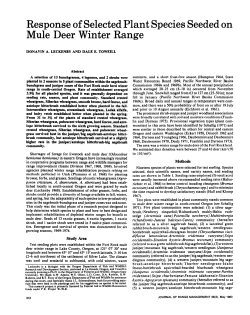 this PDF file - Journals at the University of Arizona