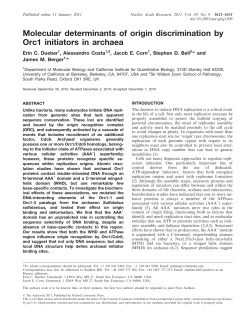 Molecular determinants of origin discrimination by Orc1 initiators in