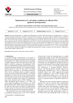 Optimization of E. coli culture conditions for efficient DNA uptake by