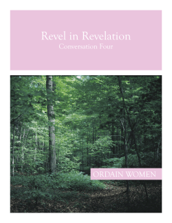 Revel in Revelation