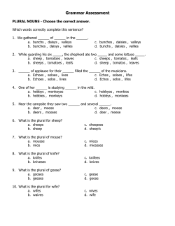 Grammar Assessment