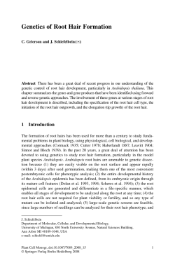 Genetics of Root Hair Formation
