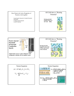 All Cells have a &ldquo;Resting Potential&rdquo; All Cells have a &ldquo;Resting