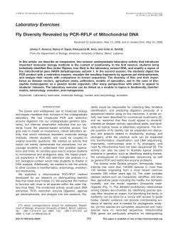 Fly diversity revealed by PCR