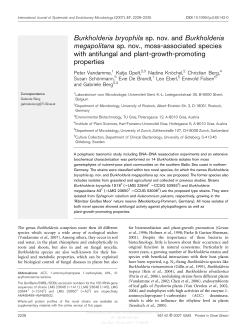 Burkholderia bryophila sp. nov. and Burkholderia megapolitana sp