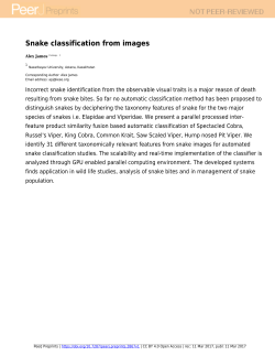 Snake classification from images