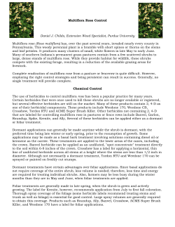 Multiflora Rose Control - Crawford County Conservation District