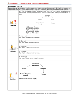 Biochemistry - Problem Drill 16: Carbohydrate Metabolism Question