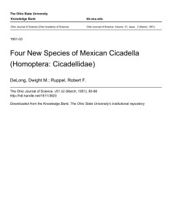 Four New Species of Mexican Cicadella