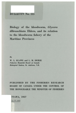 Biology of the bloodworm, Glycera