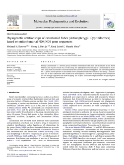Phylogenetic relationships of catostomid fishes (Actinopterygii