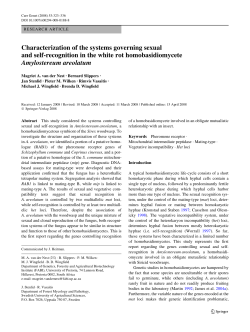 Characterization of the systems governing sexual and self